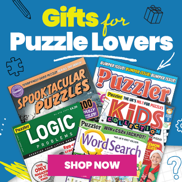 Gifts for puzzle lovers